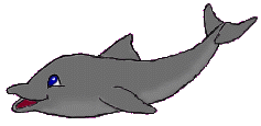 Flipper the dolphin