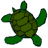 Cecil the Sea Turtle